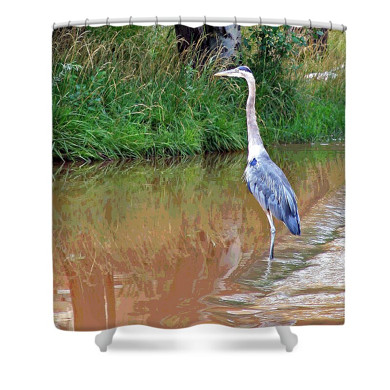 Bird Shower Curtain featuring the photograph Blue Heron on the East Verde River by Matalyn Gardner
