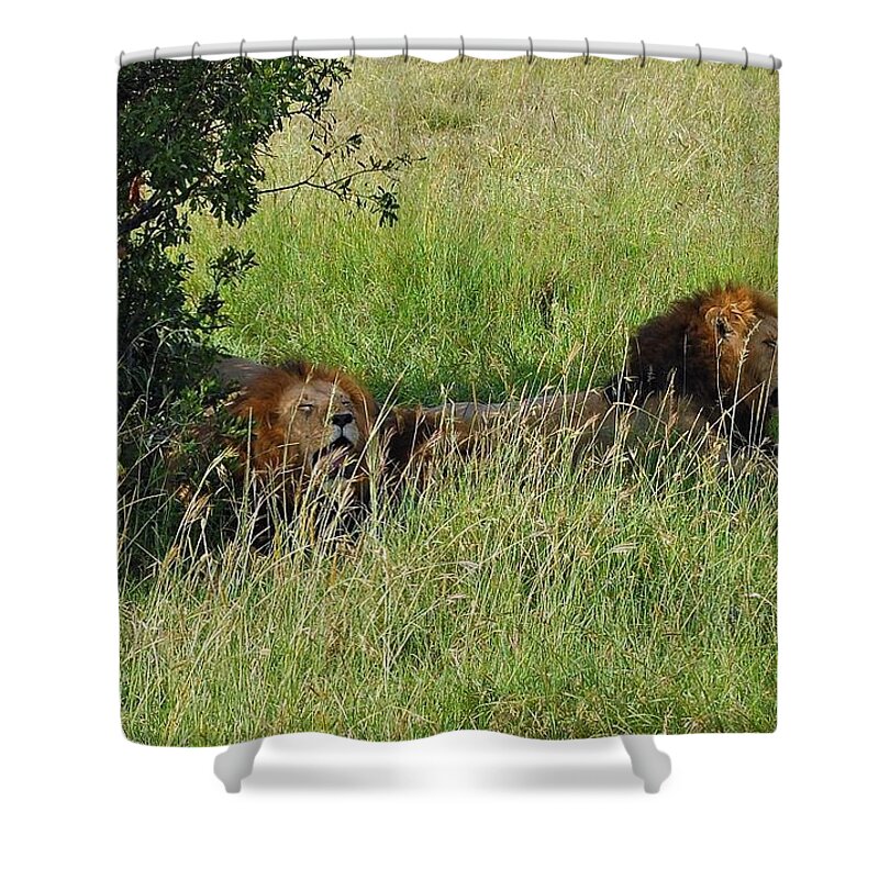  Shower Curtain featuring the photograph 7K by Jay Handler