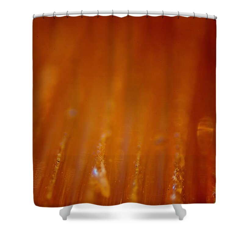 Abstract Shower Curtain featuring the photograph Abstract #2 by Neil R Finlay