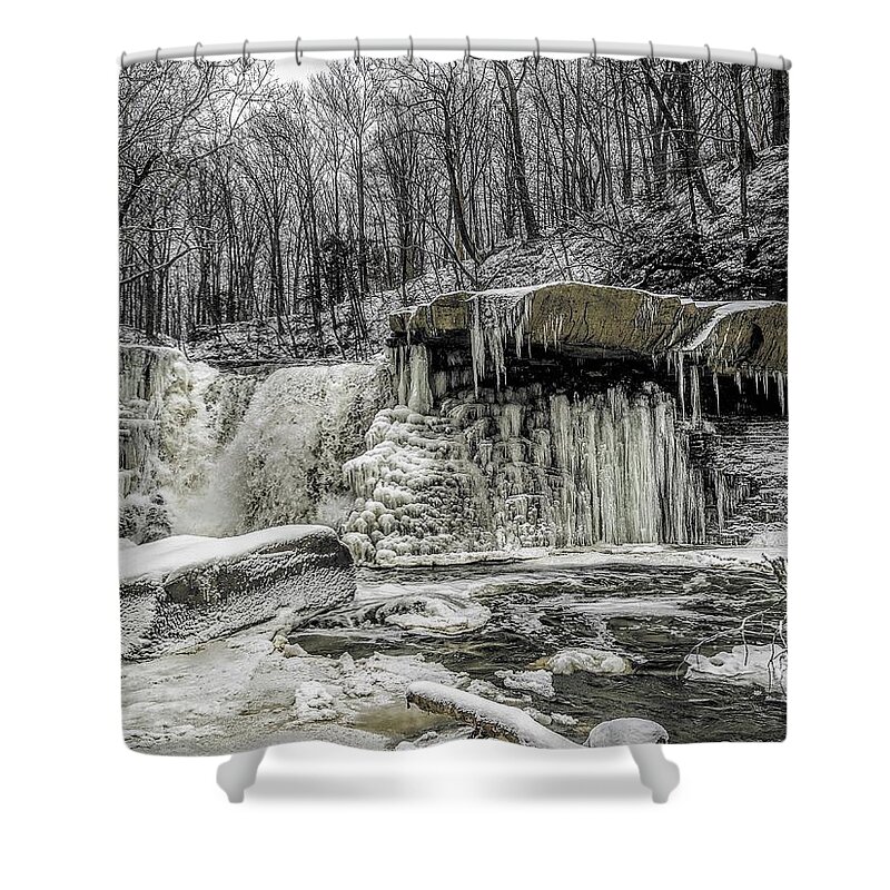  Shower Curtain featuring the photograph Great Falls by Brad Nellis