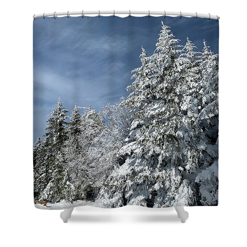  Shower Curtain featuring the photograph Winter Wonderland by Annamaria Frost