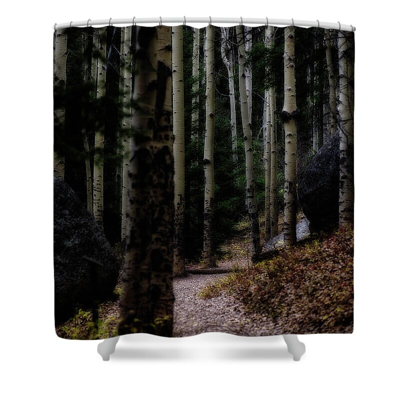 Co Shower Curtain featuring the photograph Aspens, on the Devils' Head Trail by Doug Wittrock