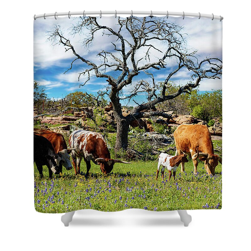 African Breed Shower Curtain featuring the photograph Texas Hill Country #9 by Raul Rodriguez