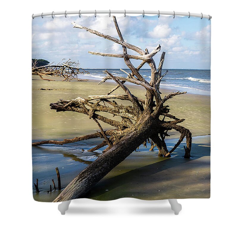 2016 Shower Curtain featuring the photograph A Bone in the Yard by Charles Hite