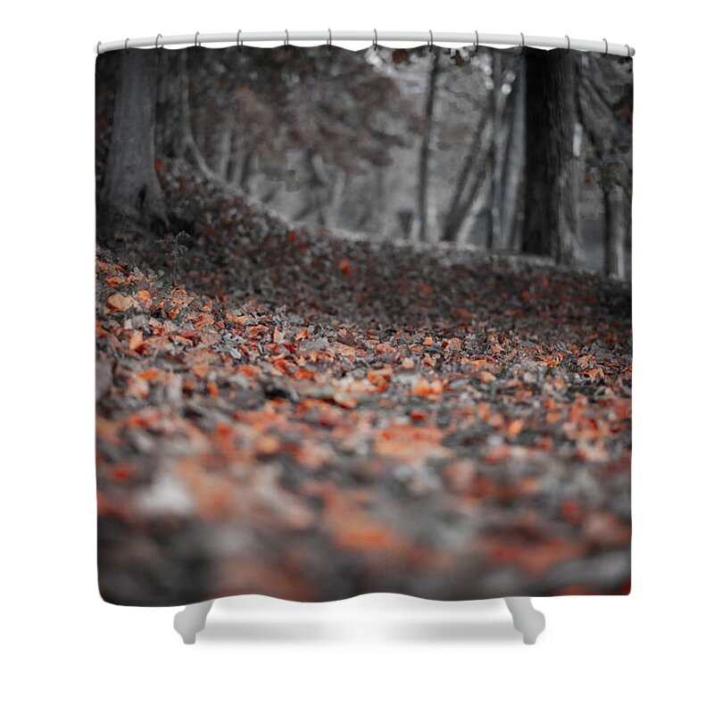 Photo Shower Curtain featuring the photograph A Dash of Orange by Evan Foster