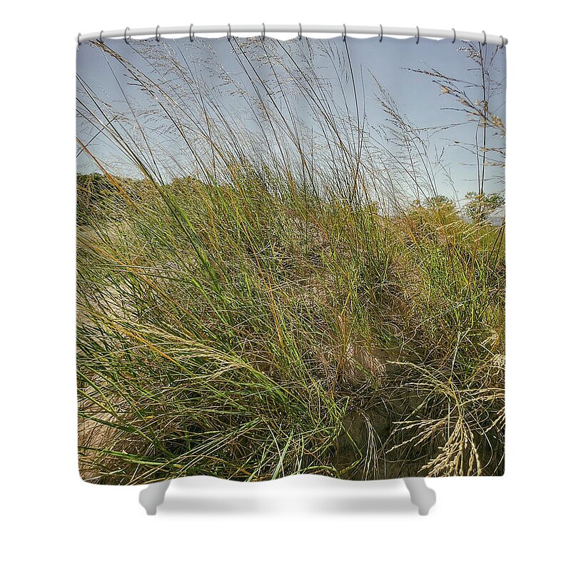  Shower Curtain featuring the photograph A day at the beach by Josh Williams