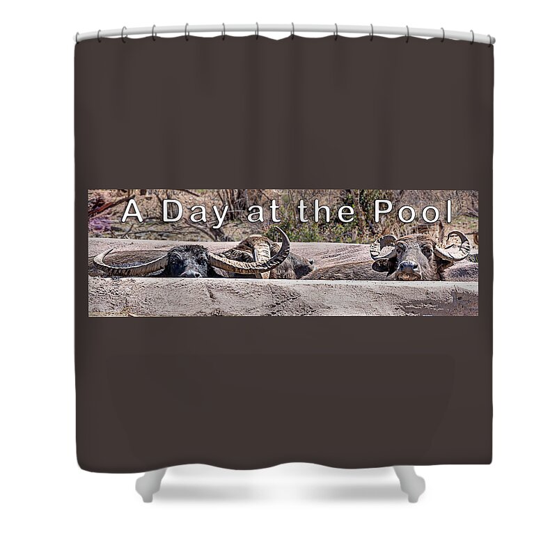  Shower Curtain featuring the photograph A Day at the Pool by Al Judge