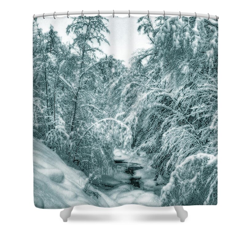 Horse Shower Curtain featuring the photograph A Drink from Halls Brook by Wayne King