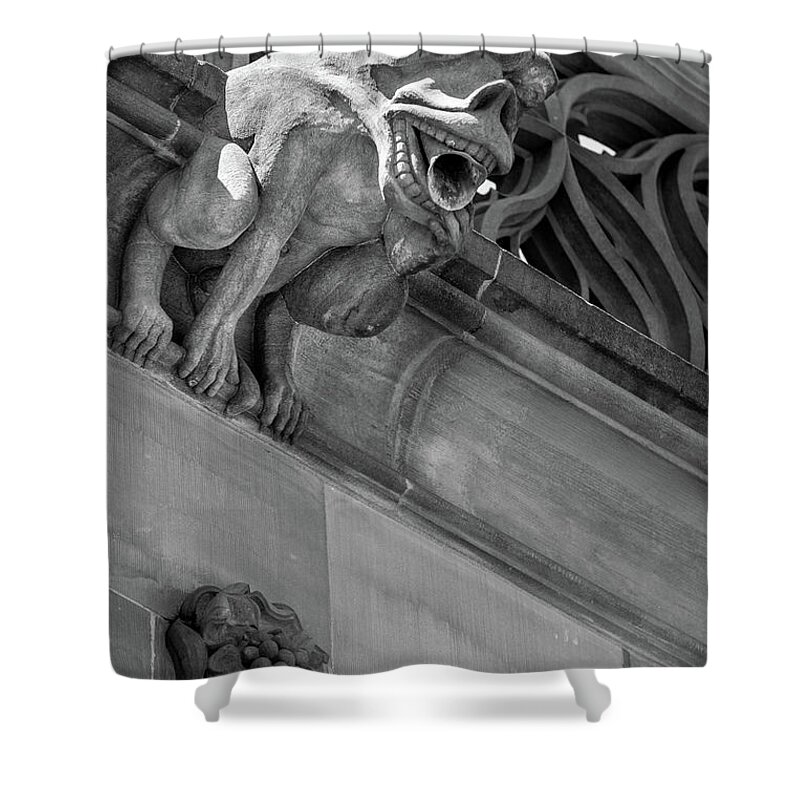 Architecture Shower Curtain featuring the photograph A Gargoyle in Strasbourg - 1 by W Chris Fooshee