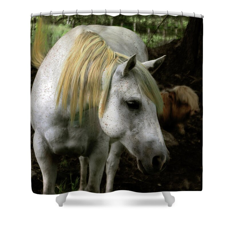 Old Horse Shower Curtain featuring the photograph A Gentle Old Soul by Wayne King