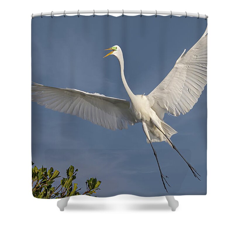 Egret Shower Curtain featuring the photograph A Great Egret by Susan Candelario