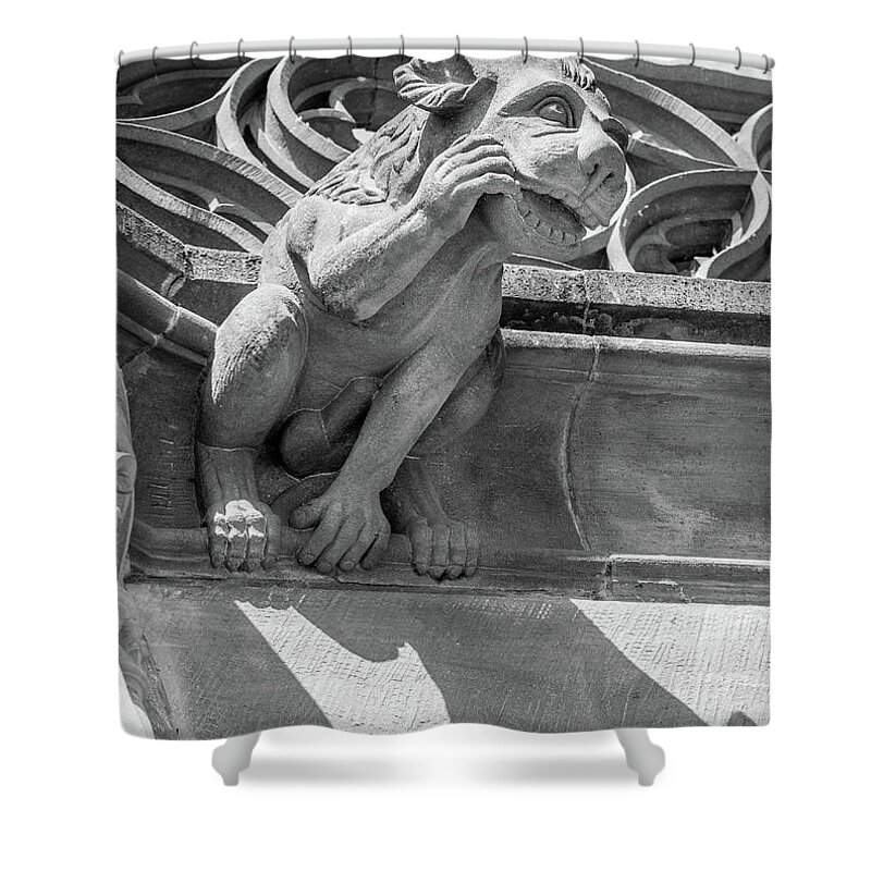 Architecture Shower Curtain featuring the photograph A Grotesque in Strasbourg - 5 by W Chris Fooshee