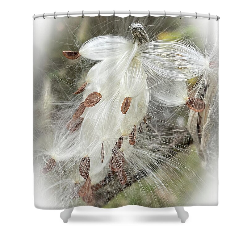 Milkweed Shower Curtain featuring the photograph A Horse Named Milkweed by Terri Harper
