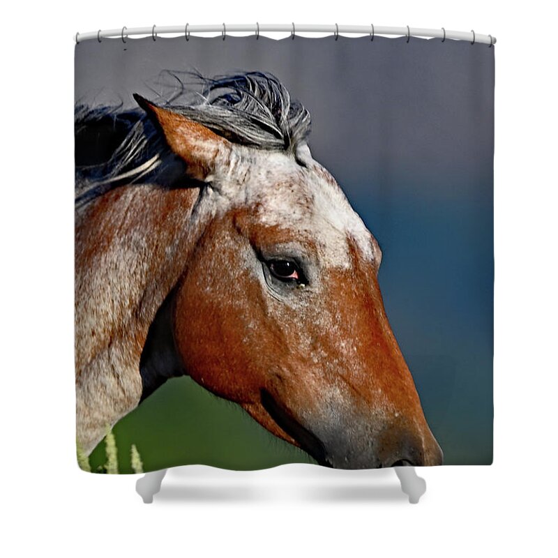 Horse Shower Curtain featuring the photograph A Horse Portrait by Amazing Action Photo Video