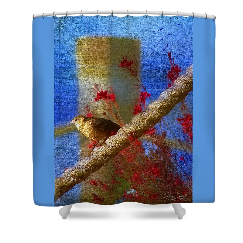 Birds Shower Curtain featuring the photograph A Live Tweet From Cape Cod by Rene Crystal