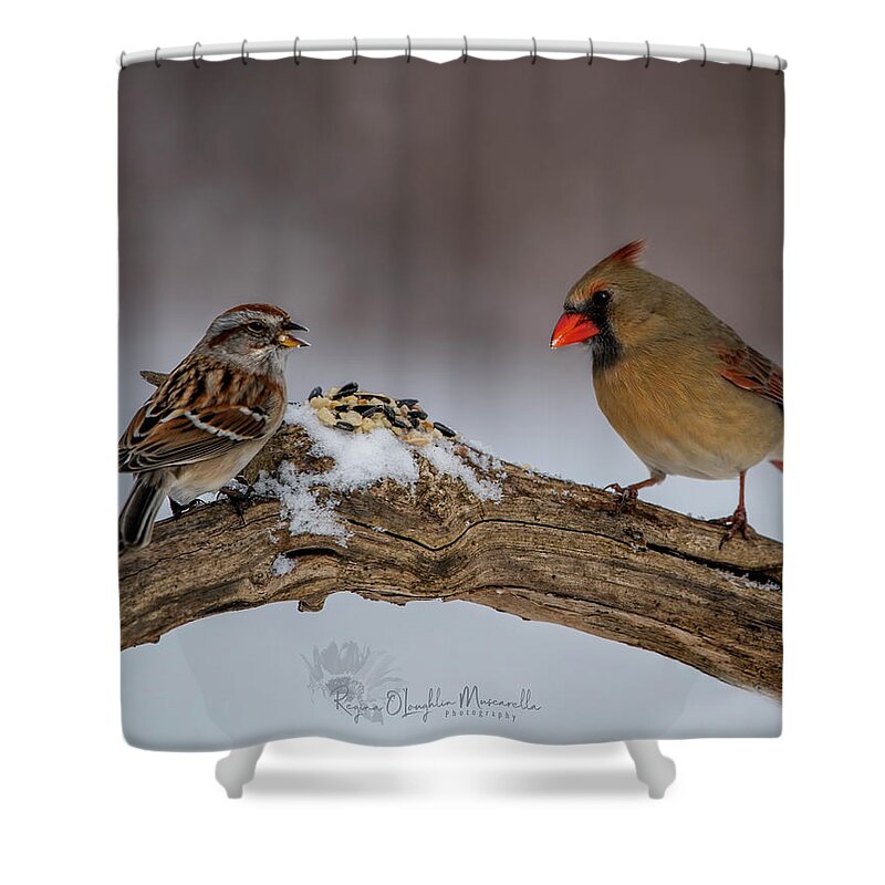 Sparrow Shower Curtain featuring the photograph A Lunch Date by Regina Muscarella