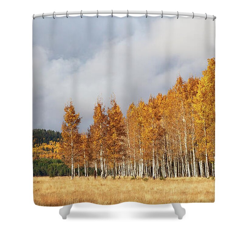 Art Shower Curtain featuring the photograph A Moment Of Autumn Glory by Rick Furmanek