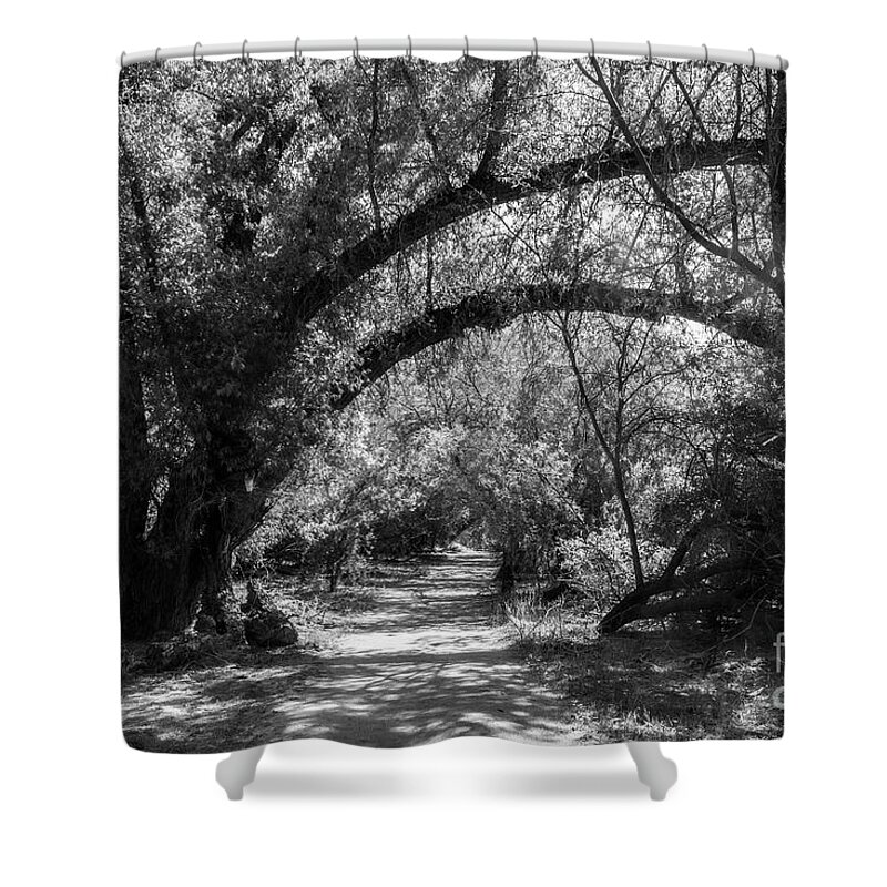 Arizona Shower Curtain featuring the photograph A Path Through the Forest in Black and White by Kathy McClure