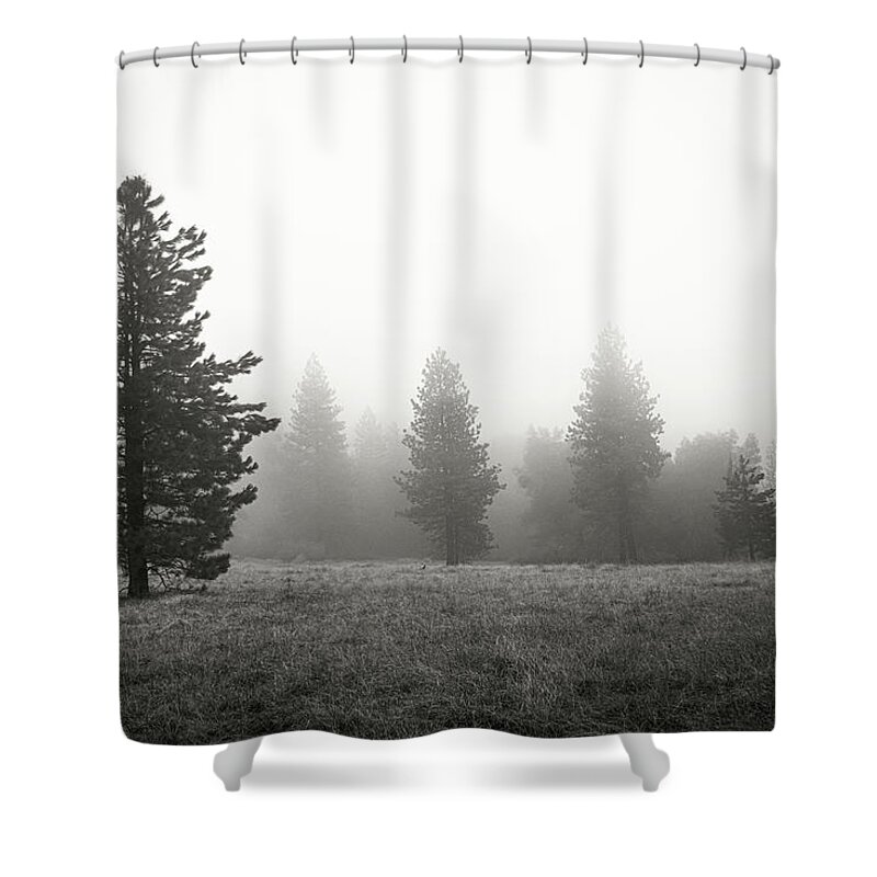 Trees Shower Curtain featuring the photograph A Rich Aggregation by Ryan Weddle