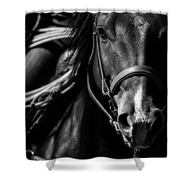 Horse Shower Curtain featuring the photograph A Roper by Ryan Courson