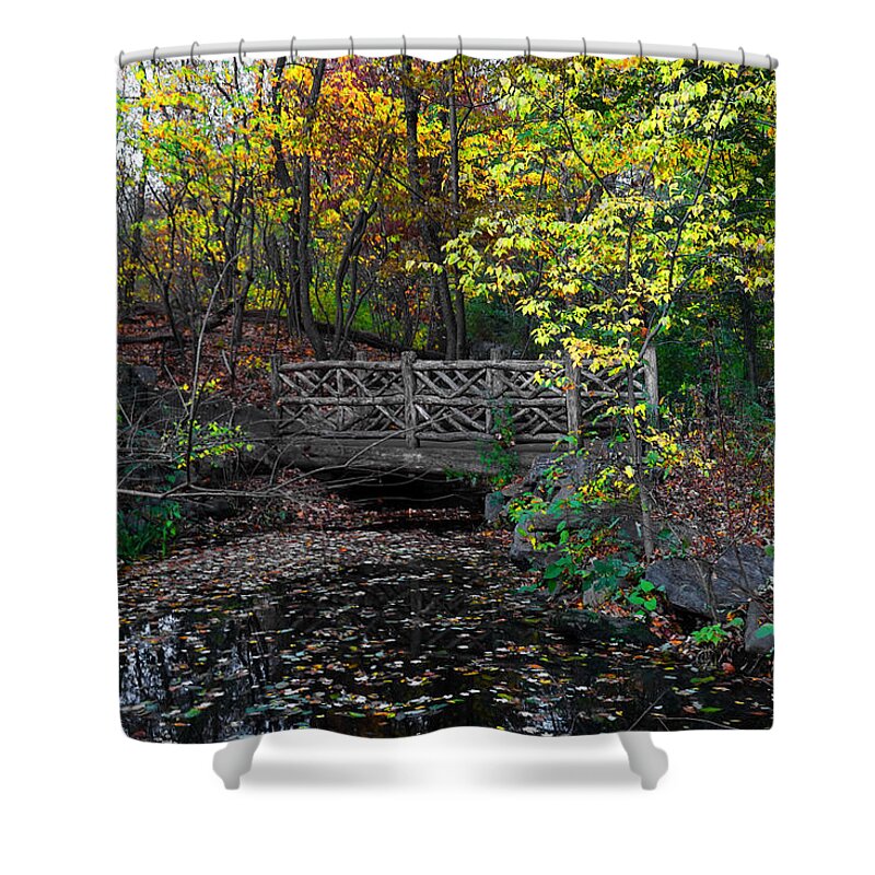 Rustic Shower Curtain featuring the photograph A Rustic Bridge in the Ramble - A Central Park Impression by Steve Ember