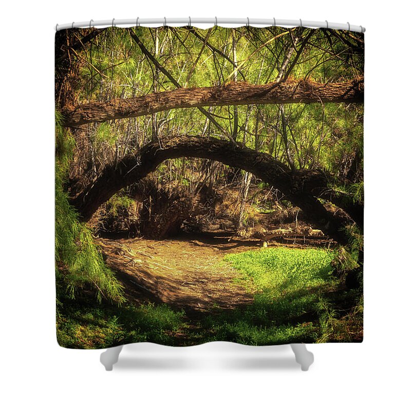 Abstract Shower Curtain featuring the photograph A Secret Passage by Rick Furmanek