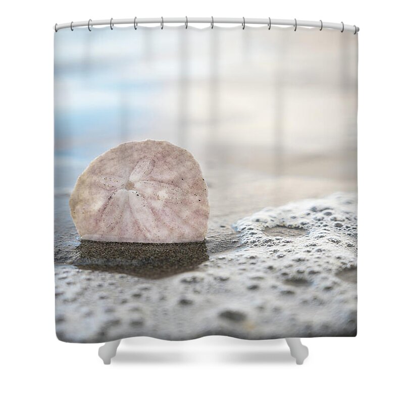 Ocean Shower Curtain featuring the photograph A Shore Thing by Bryan Xavier