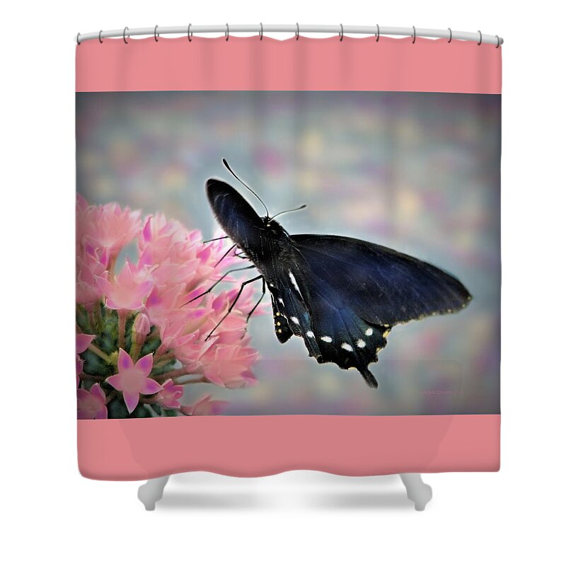 Butterfly Shower Curtain featuring the photograph A Soft Caress by Angela Davies