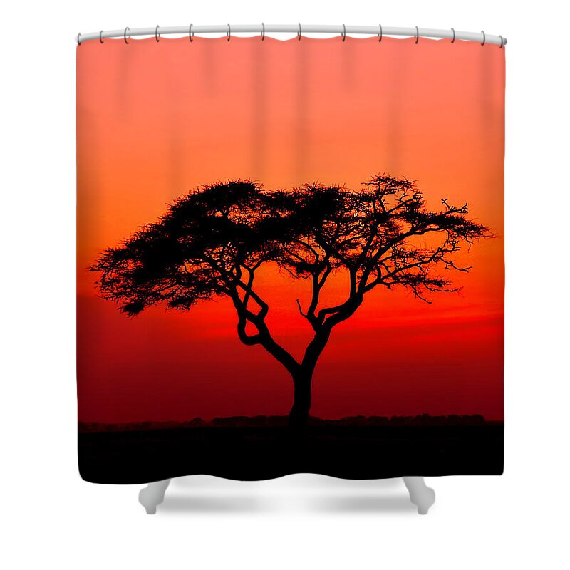 Africa Shower Curtain featuring the photograph A Solitary Acacia Tree in the African Sunset by Mitchell R Grosky