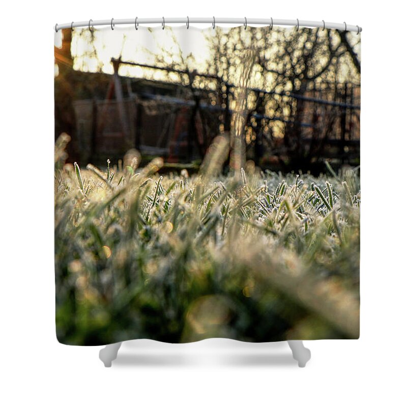 Environment Shower Curtain featuring the photograph A stem of grass with sunrise. A wonderful story of beauty by Vaclav Sonnek