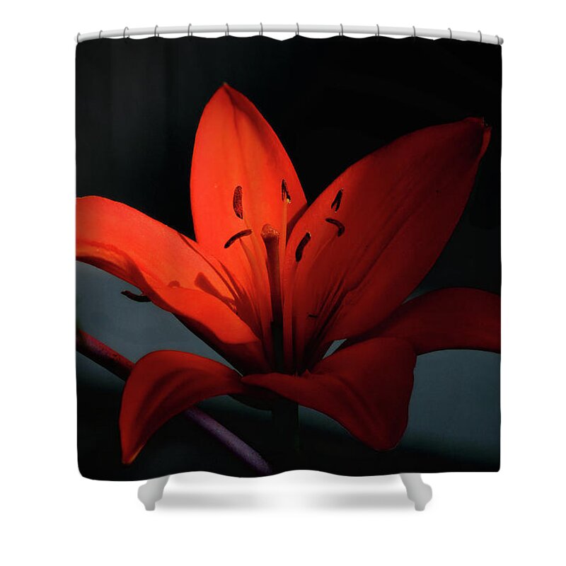 Plants Shower Curtain featuring the photograph A Touch Of Orange by Buddy Scott
