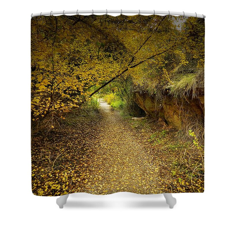 Autumnal Shower Curtain featuring the photograph A True Autumn Day by Laura Putman