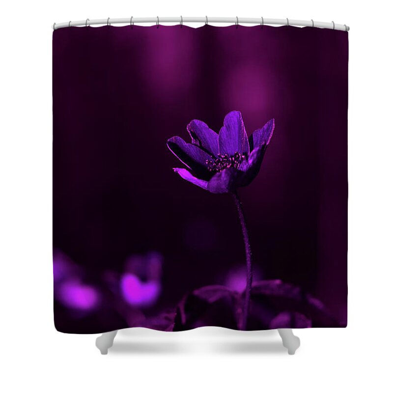 White Shower Curtain featuring the photograph A white anemone under UV light by Maria Dimitrova