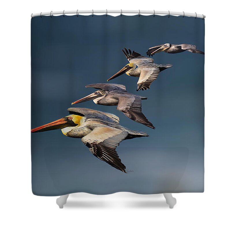 Brown Shower Curtain featuring the photograph A Windy Formation by Russ Harris