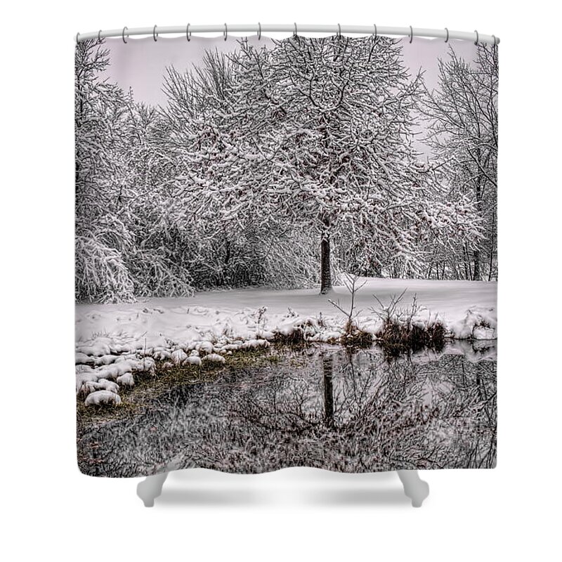Winter Shower Curtain featuring the photograph A Winter Reflection by Dale Kauzlaric