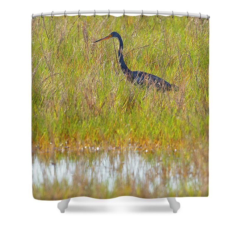 R5-2669 Shower Curtain featuring the photograph A Youngster out in the Grasslands by Gordon Elwell