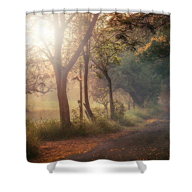 Photography Shower Curtain featuring the photograph Aarey Stroll by Craig Boehman