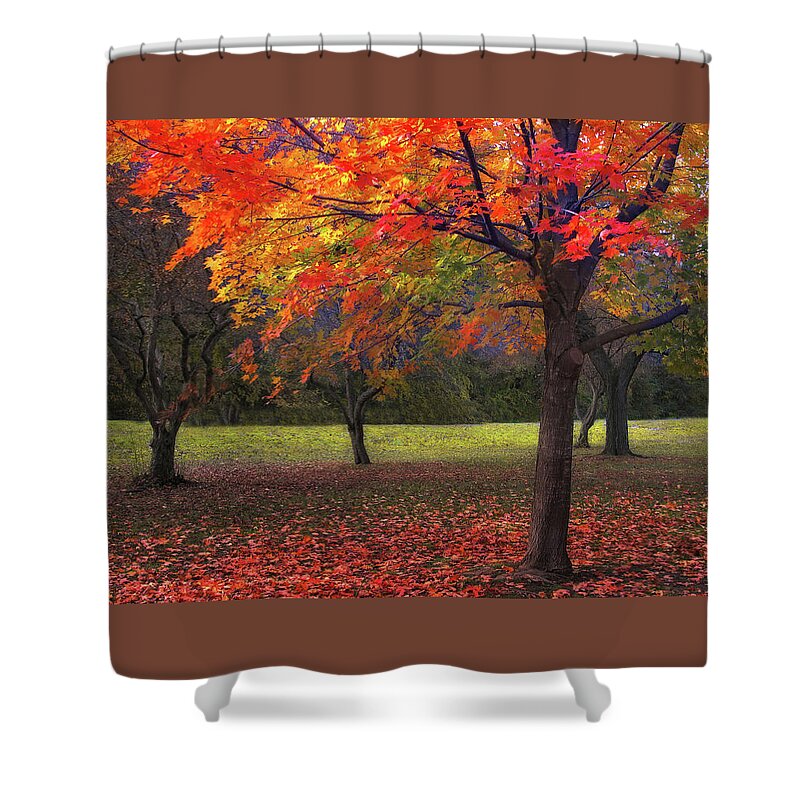Autumn Shower Curtain featuring the photograph Ablaze in Autumn by Jessica Jenney