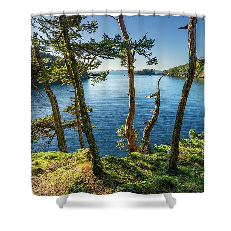 Sunny Shower Curtain featuring the photograph Above Sunny Bowman Bay by Gary Skiff