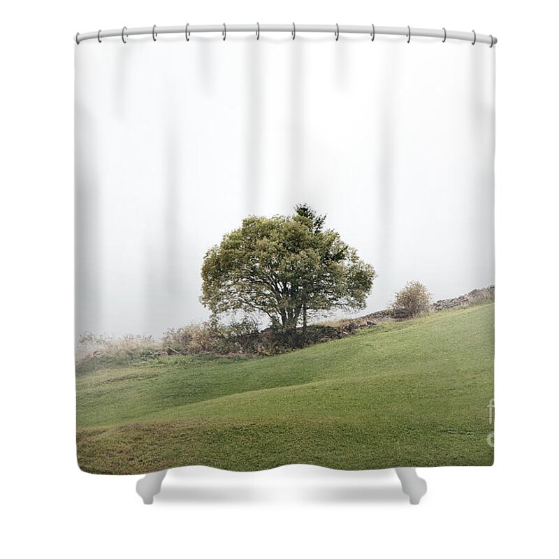 Tree Shower Curtain featuring the photograph Above the fog by Thomas Nay