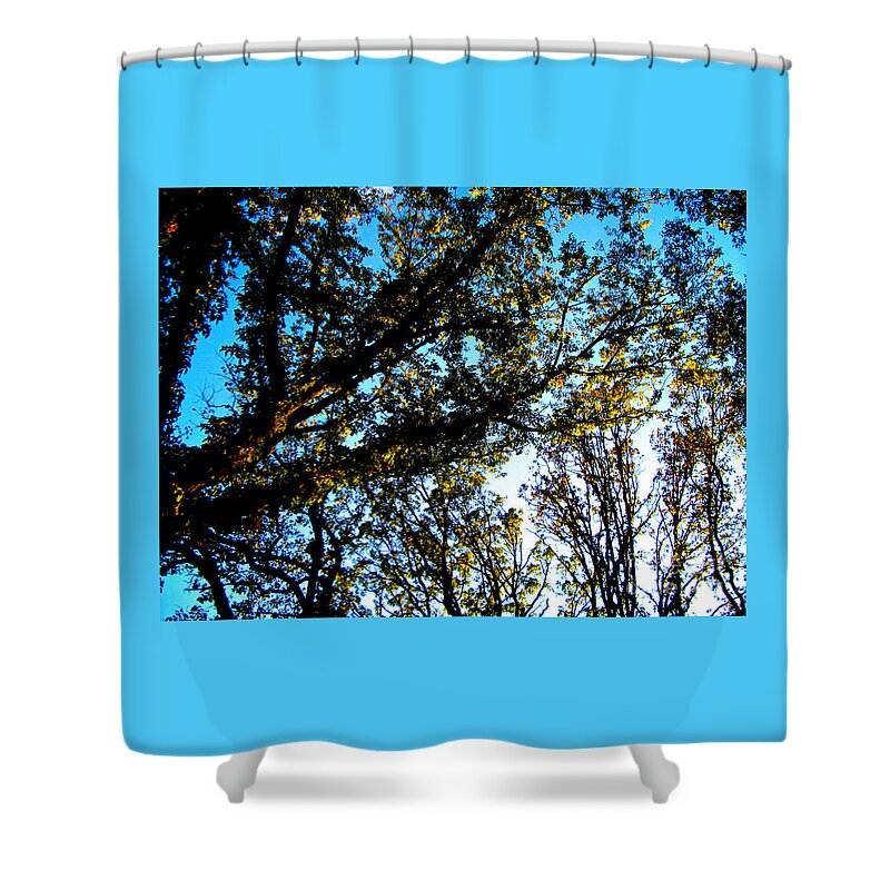 Nature Shower Curtain featuring the photograph Abstract Autumn Sunlit Tree Branches - Color by Frank J Casella