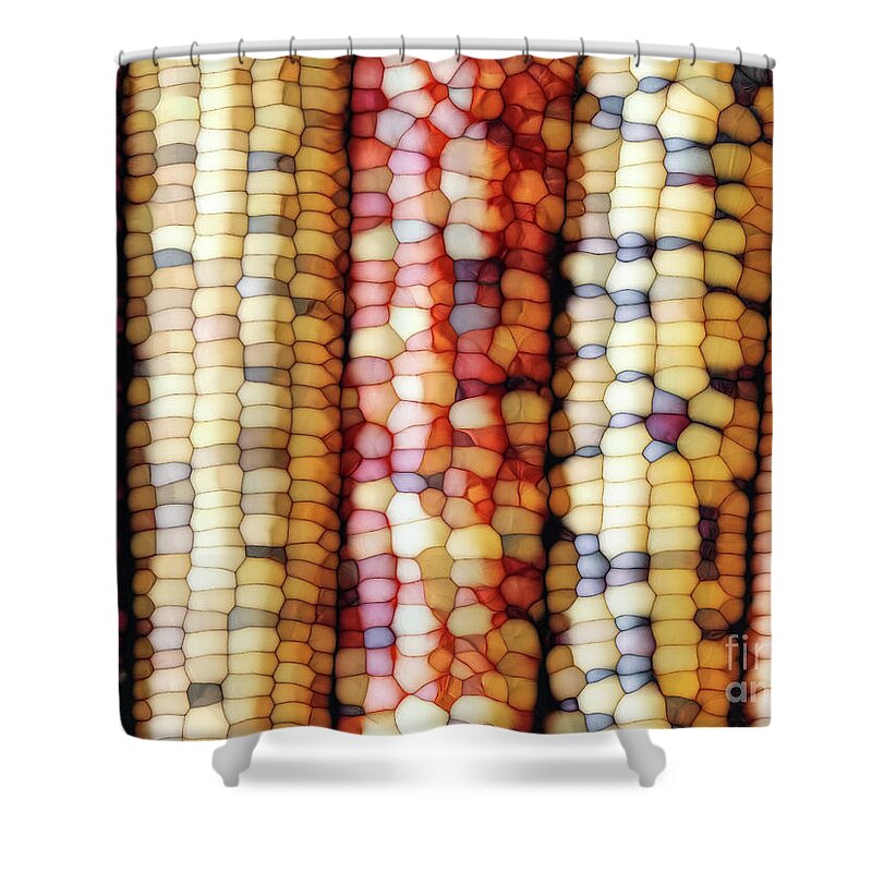 Indian Corn Shower Curtain featuring the digital art Abstract Indian Corn by Phil Perkins