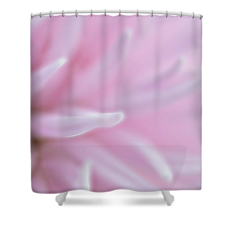 Pink Flower Shower Curtain featuring the photograph Abstract Pink Flower by Crystal Wightman
