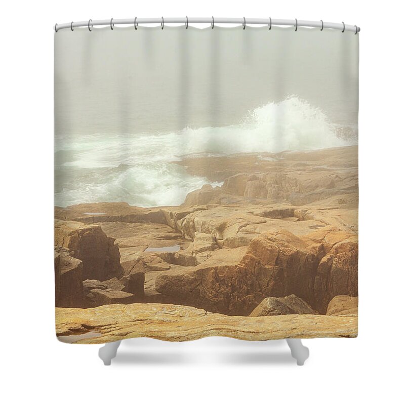 Acadia Shower Curtain featuring the photograph Acadia National Park Fog by Amelia Pearn
