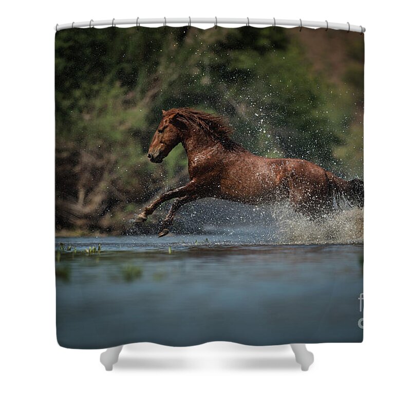 Stallion Shower Curtain featuring the photograph Action by Shannon Hastings