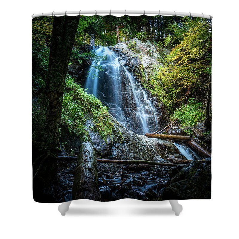 Fall Shower Curtain featuring the photograph Adirondacks Autumn at Stag Brook Falls 2 by Ron Long Ltd Photography