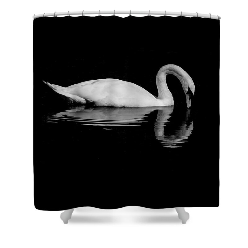 Mute Swan Shower Curtain featuring the photograph Alone or Lonely by Linda Bonaccorsi