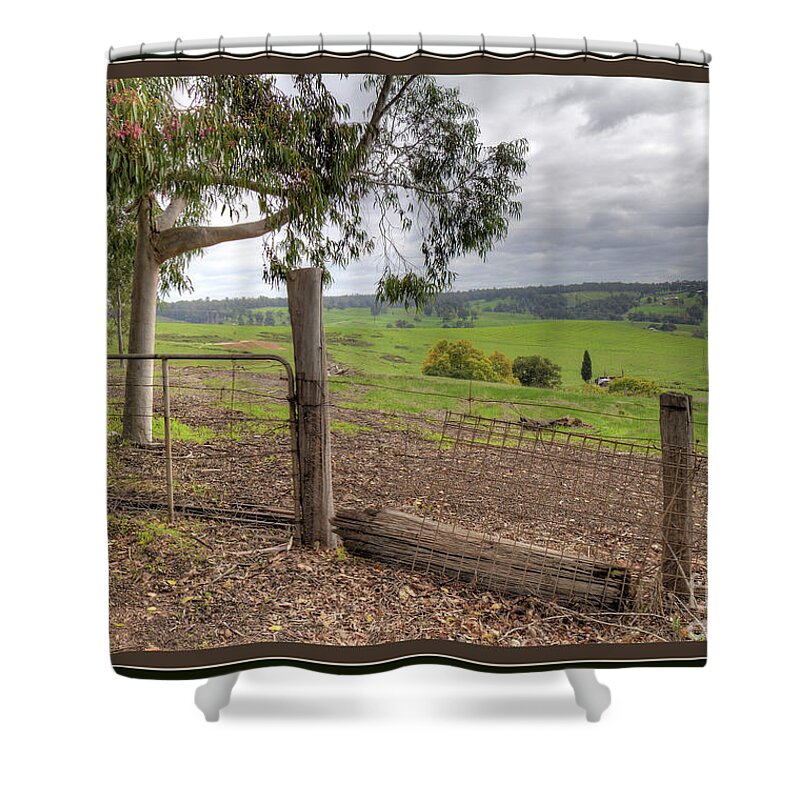 Scenic Shower Curtain featuring the photograph Admiring the View by Elaine Teague
