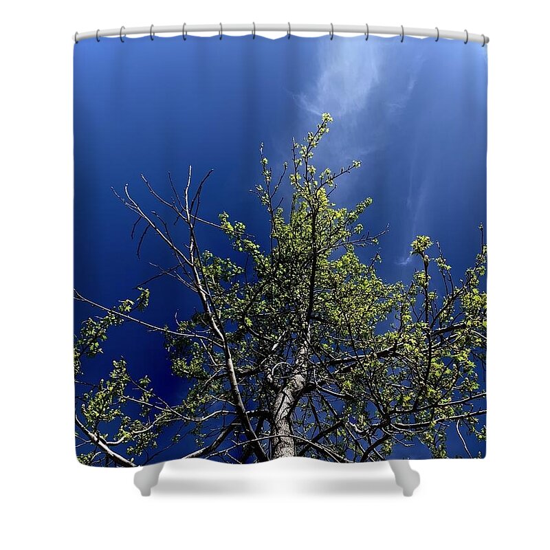 Tree Shower Curtain featuring the photograph Adoretum by Tiesa Wesen