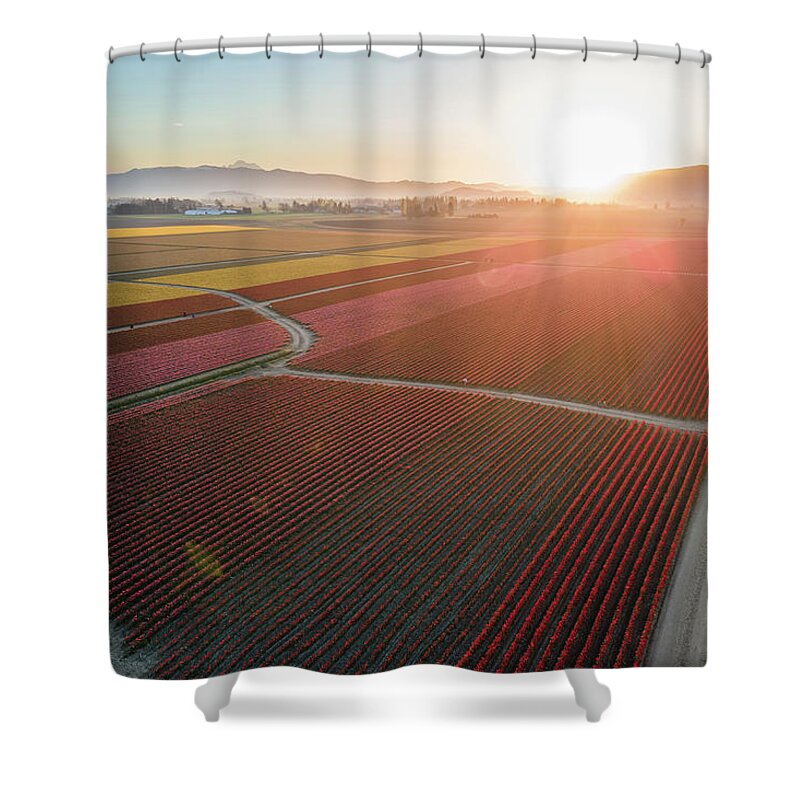 Skagit Shower Curtain featuring the photograph Aerial Tulips1 by Michael Rauwolf
